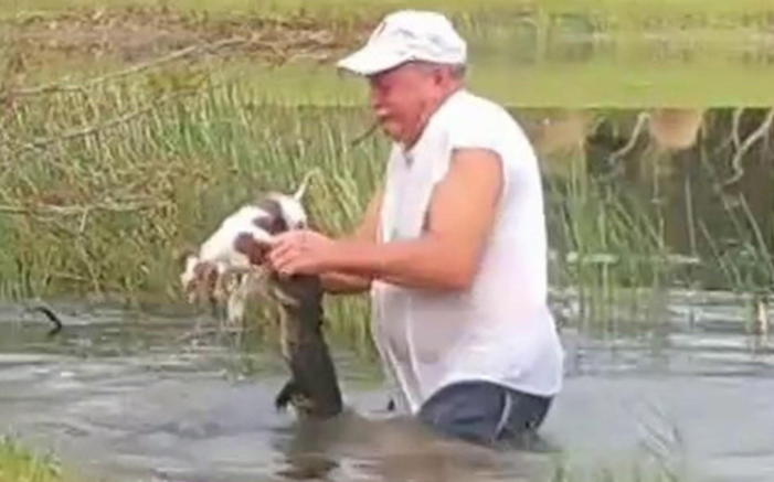 Florida man saves dog from alligator, smokes cigar the whole time